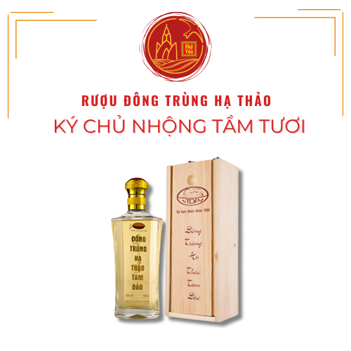 Rượu Đông Trùng Hạ Thảo Ký Chủ Nhộng Tằm Tươi (Hộp gỗ)